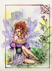 Fairy 30